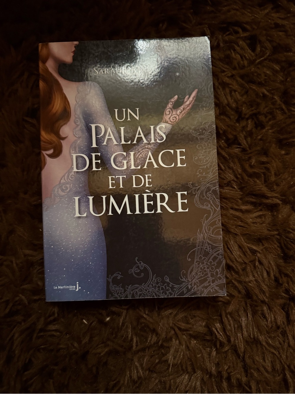 Un Palais de Glace et de Lumière - Tome 4